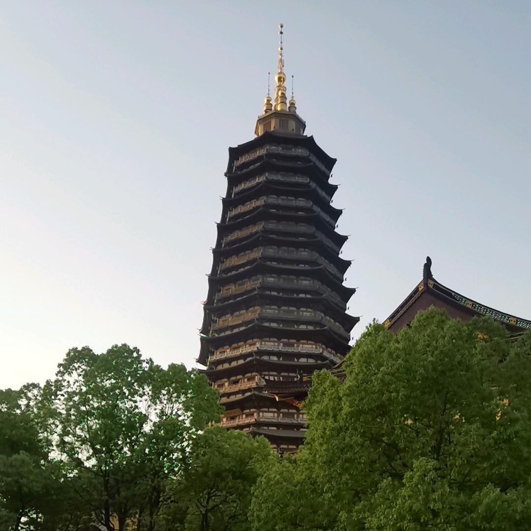 舍得