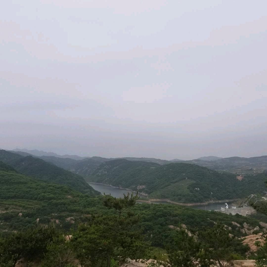 杨传龙