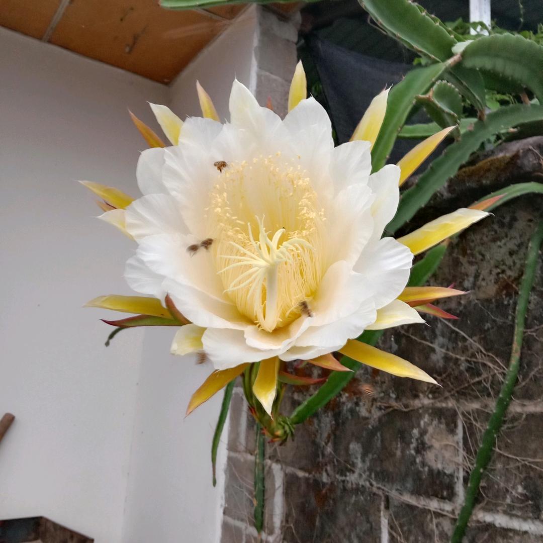 只看不刷