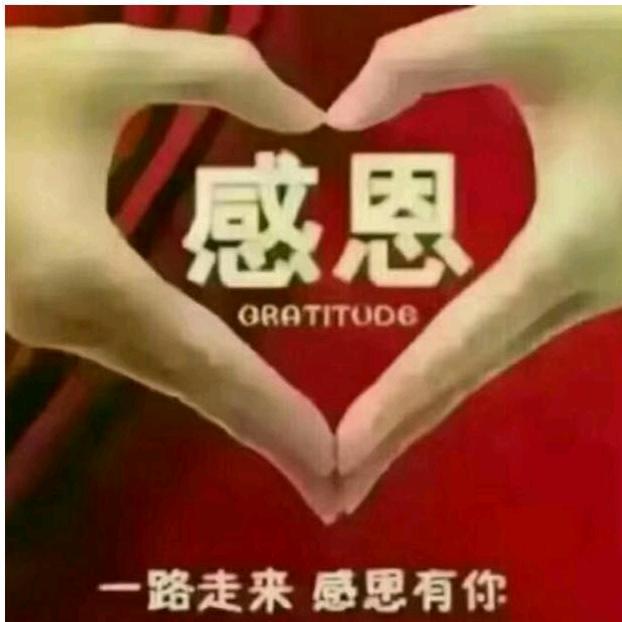 感恩有你