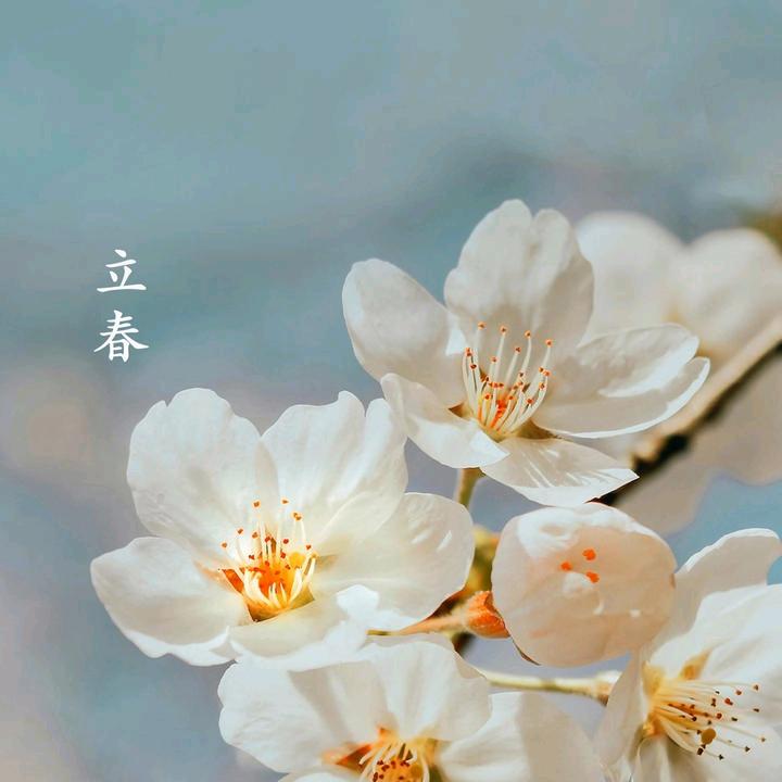 浪迹天涯😋