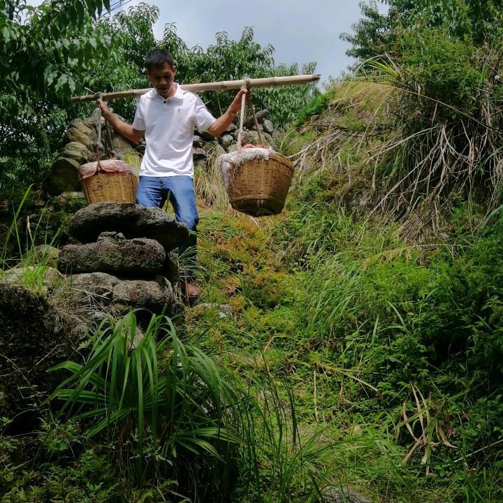 lixiaosong