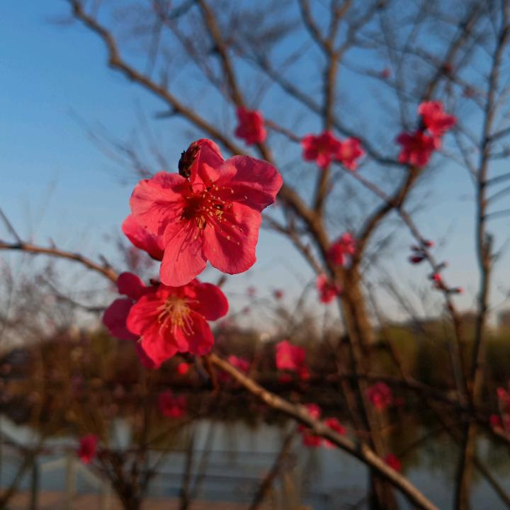 朝朝暮暮
