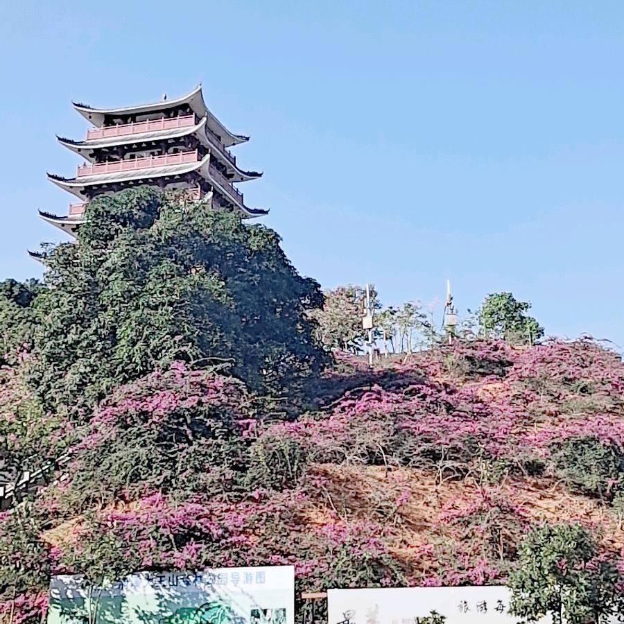 草草（拒绝私聊）