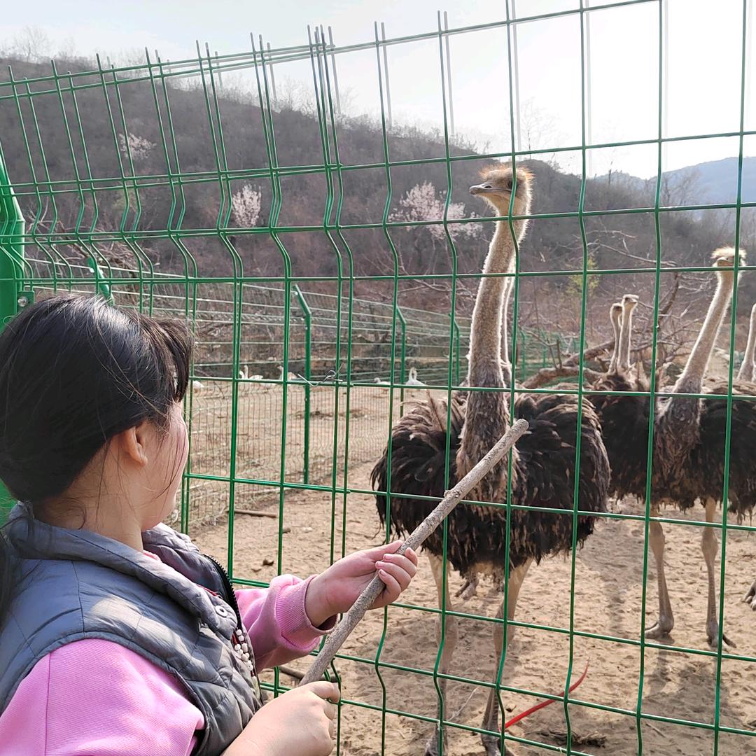 史家女（拒私聊）