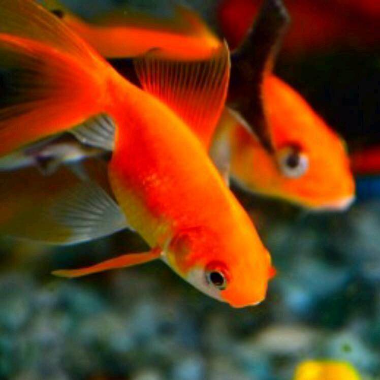 雅量容人