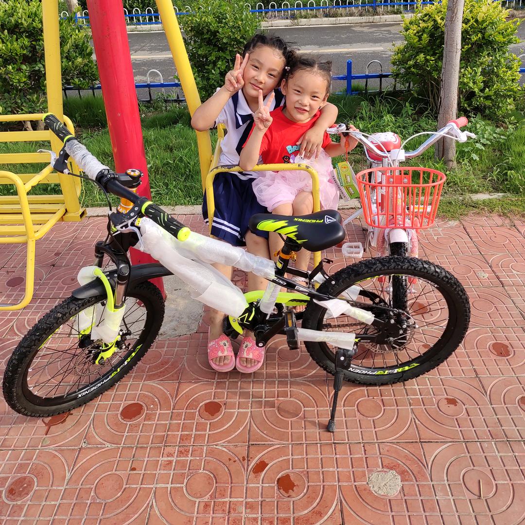 珍珍的日常生活