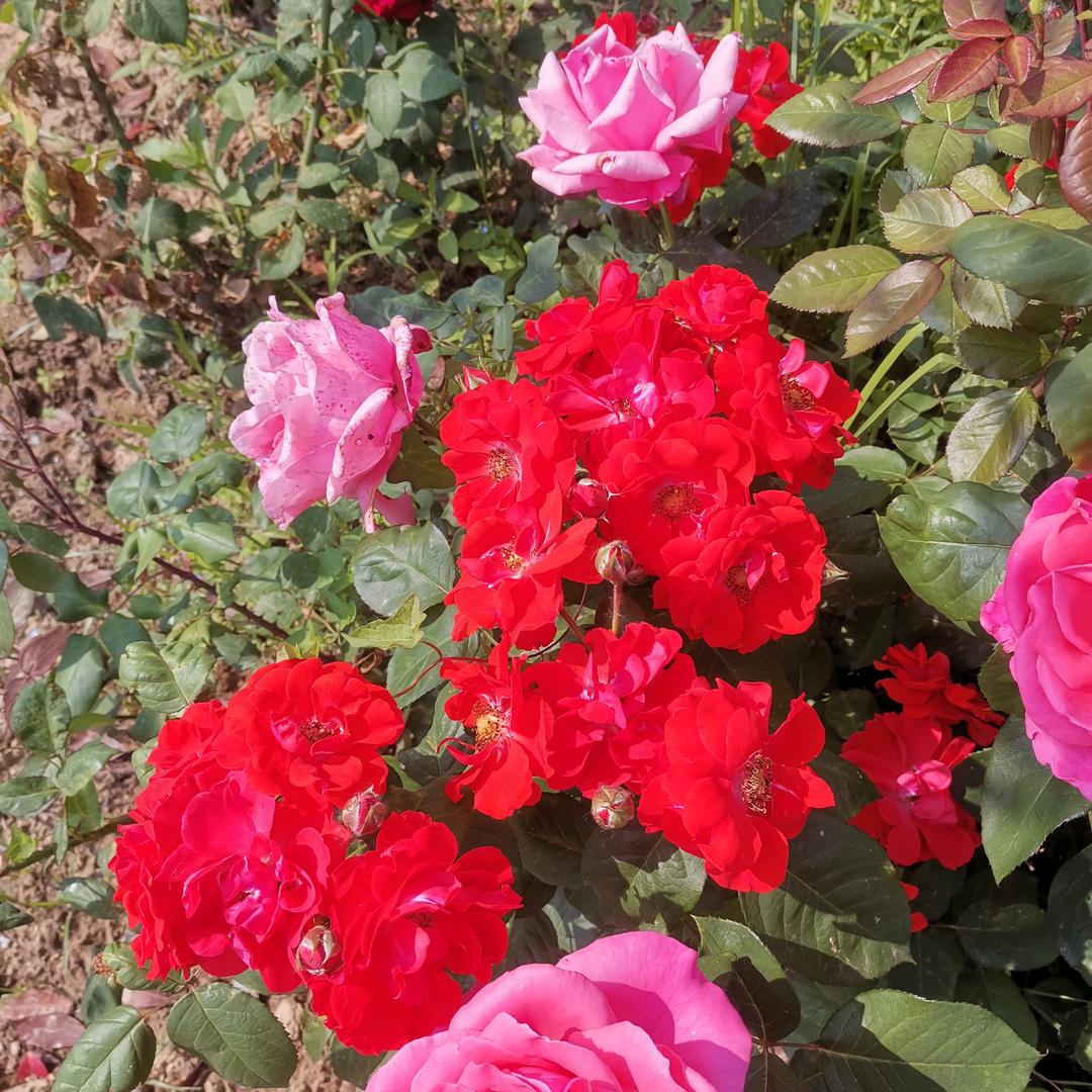 安度晚年，孝感幸福