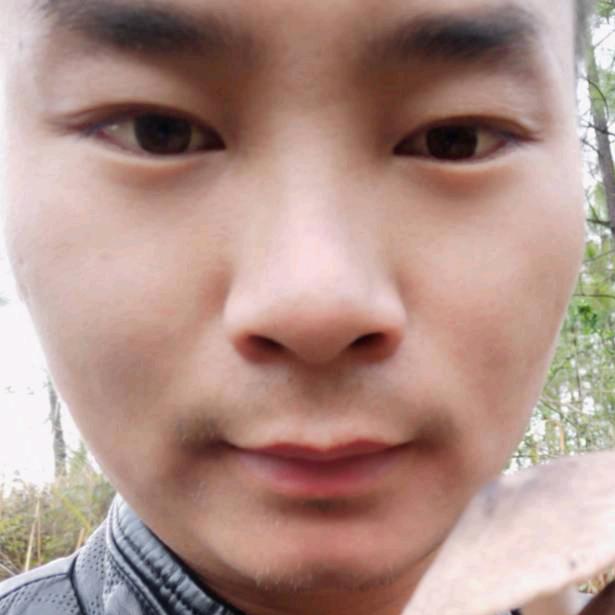 挖掘梦想的（英）强