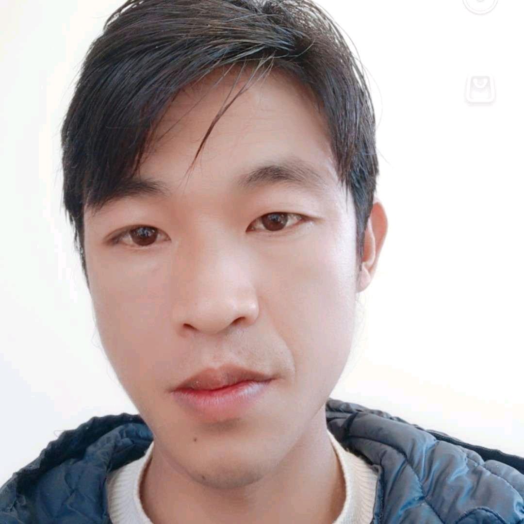 辰龙