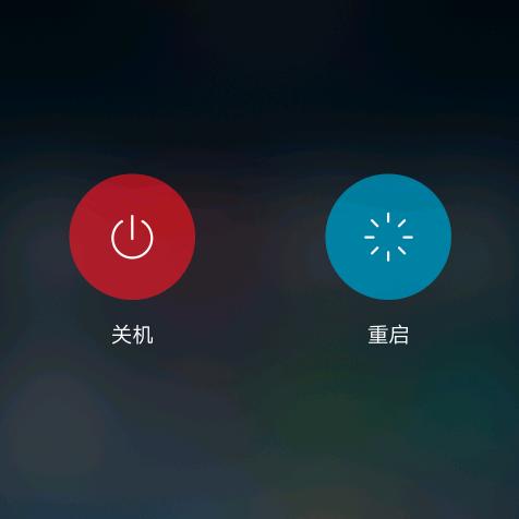虫哥