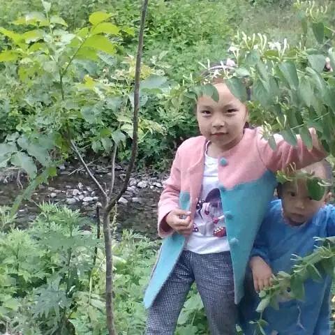 岁月静好🍎🍎