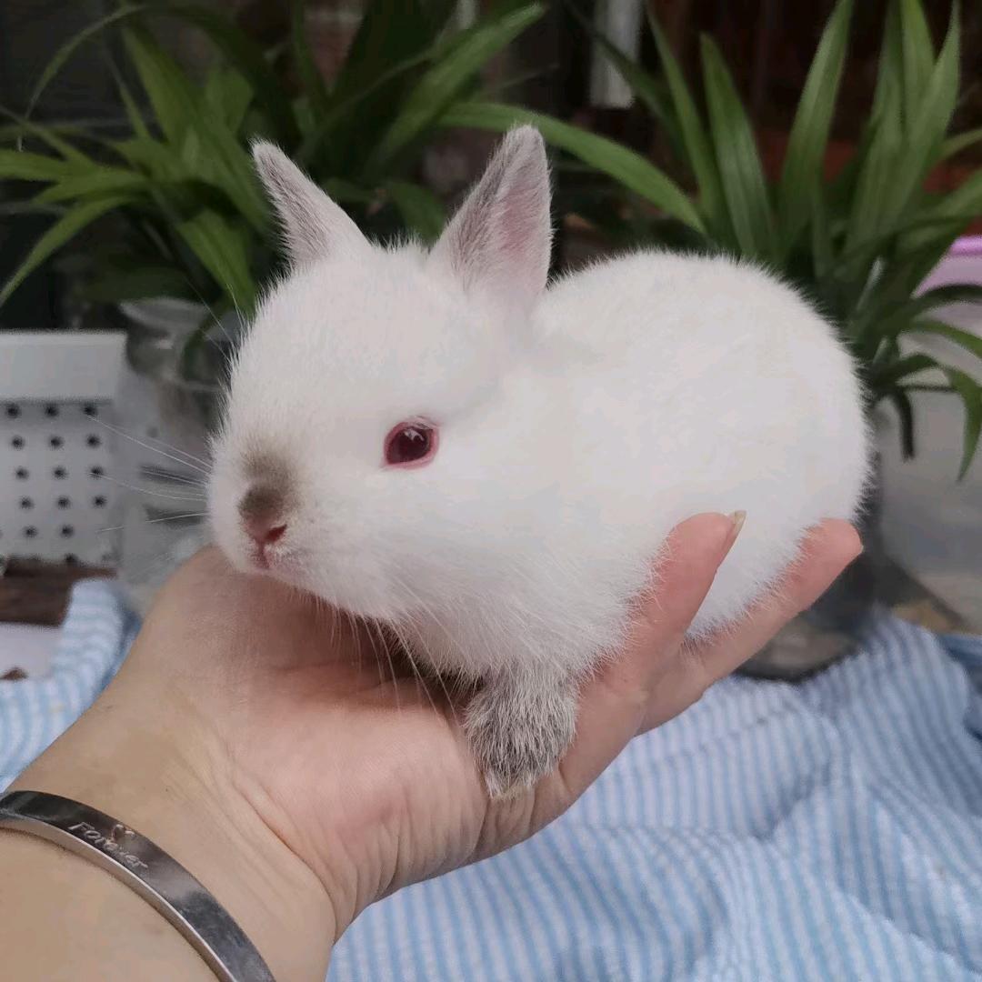 🌈小妖的黑色童话