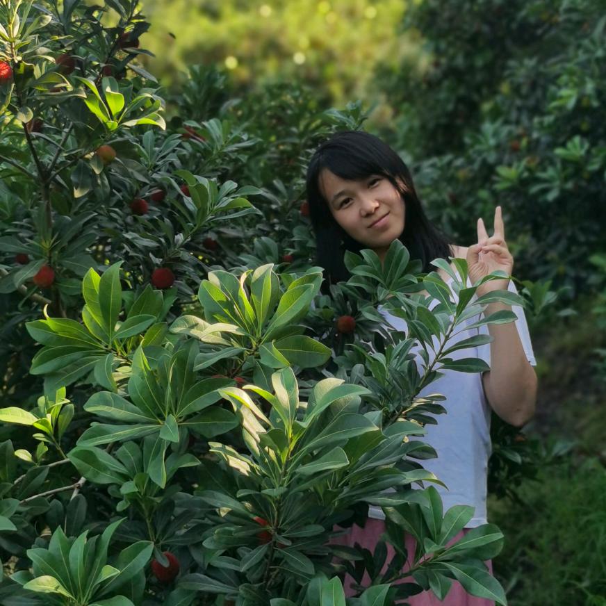 仙居梅妃-杨梅种植大户