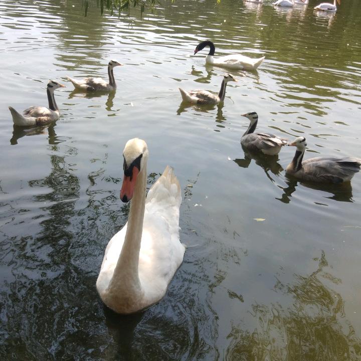 那时那你