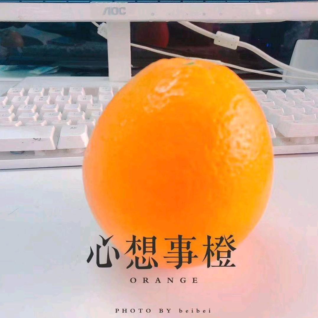 嘉定江桥租房｜朱珠