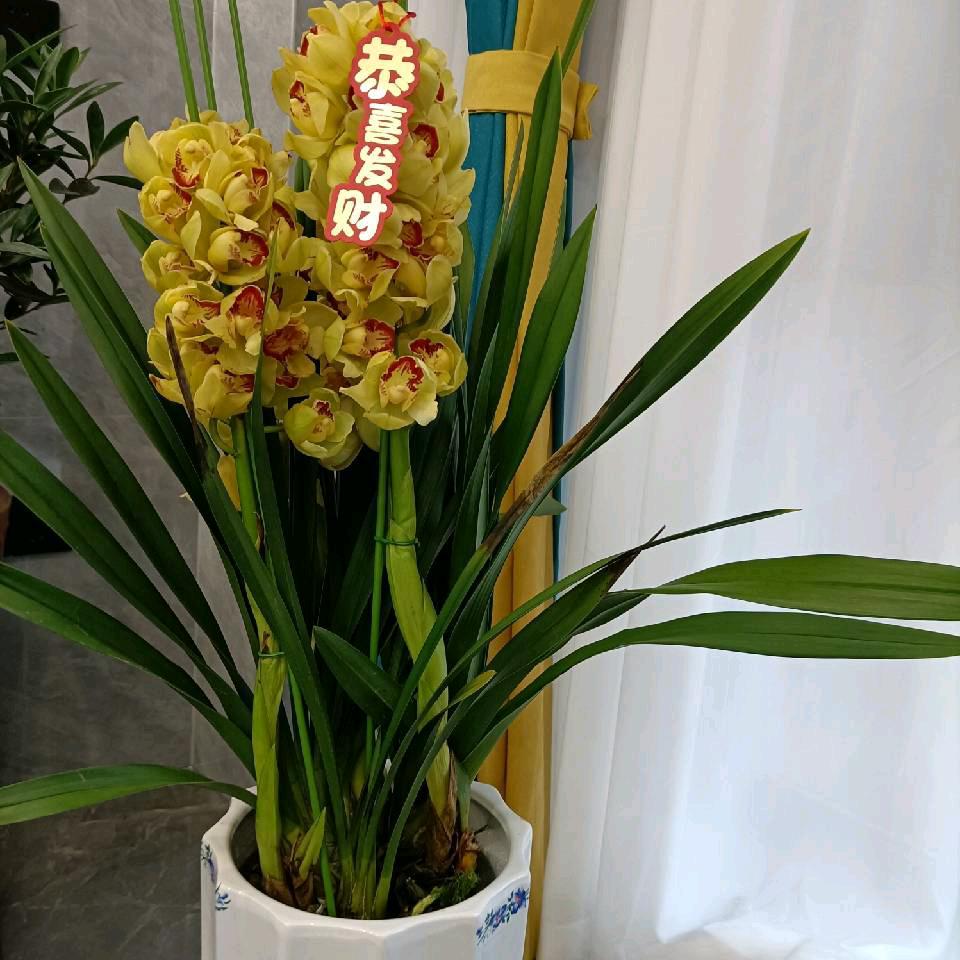 阿木头像