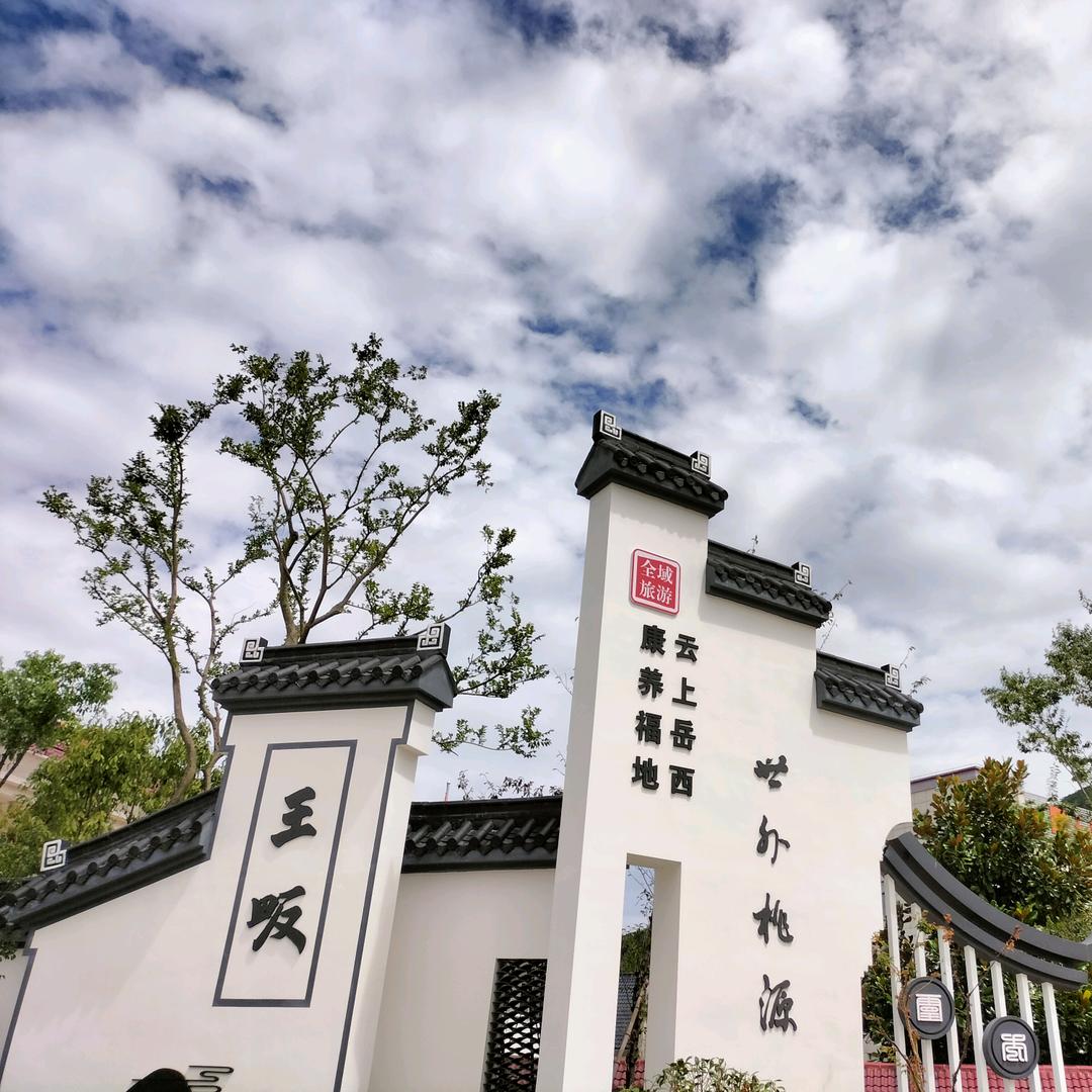 乡村推介，王畈文旅