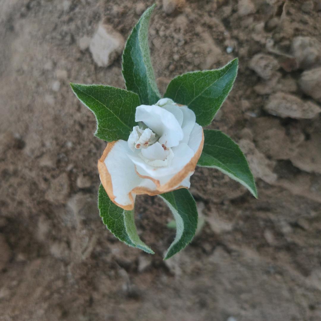 ꧁遇见即天意꧂