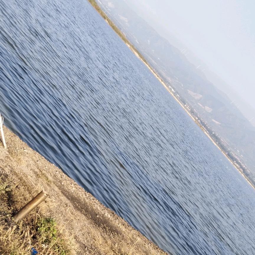 思念ε(*･ω･)_/ﾟ:･☆