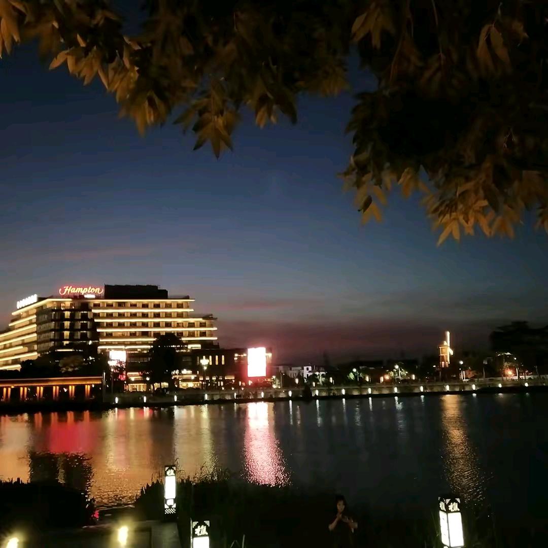 小夏和小乐
