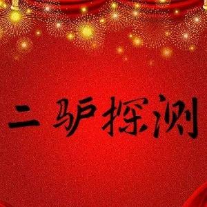 二驴探测器二手严选
