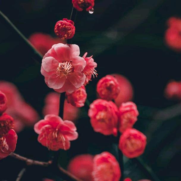 蓦然回首我心依旧