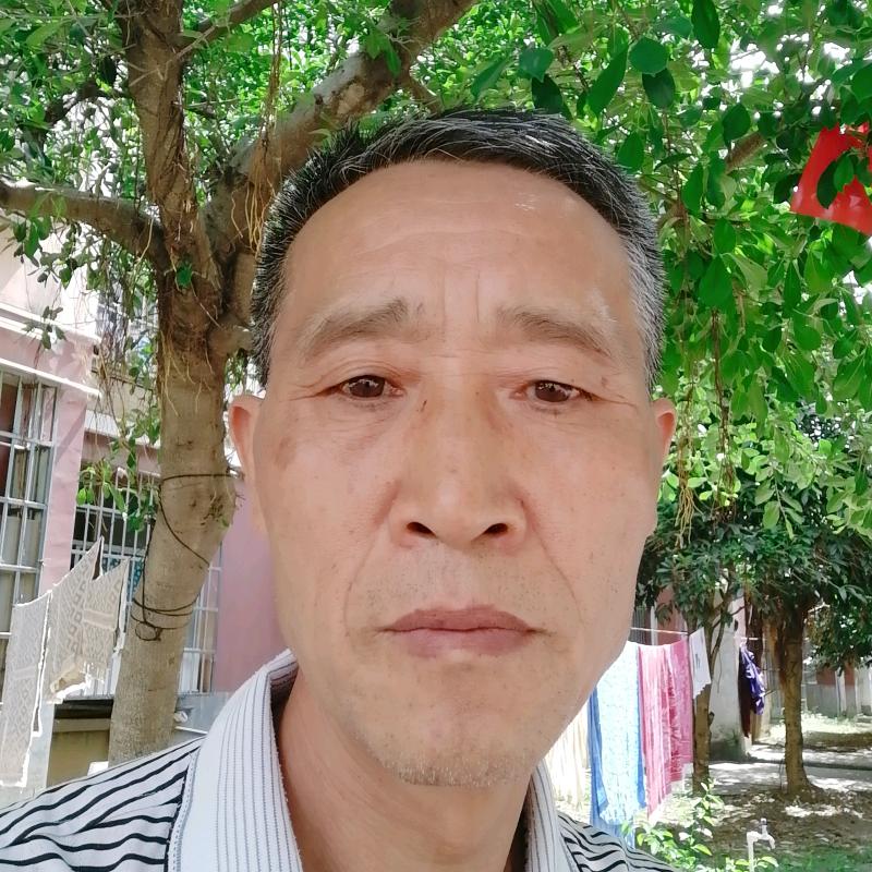 四维哥