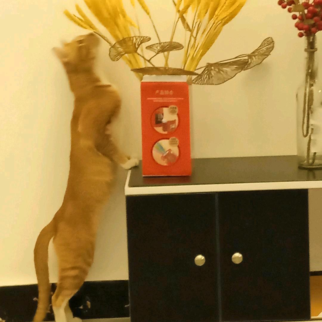 快乐一家人。