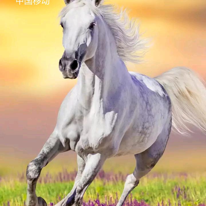 幸福一生。。。