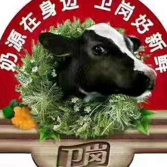 沉默7