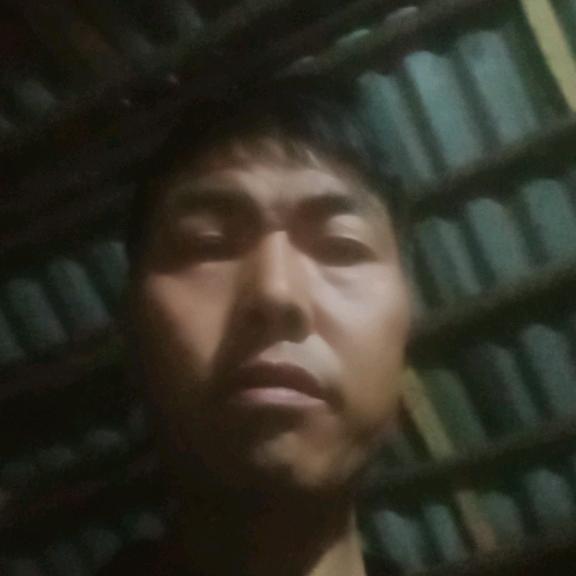 单身哥哥