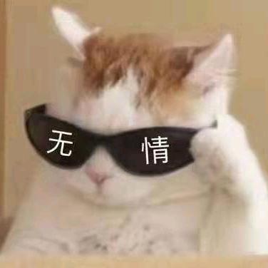 隔壁老幻|･㉨･｀)