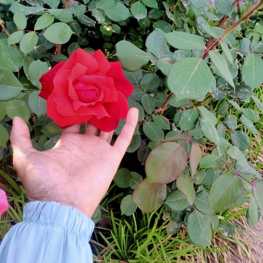 一缕炊烟