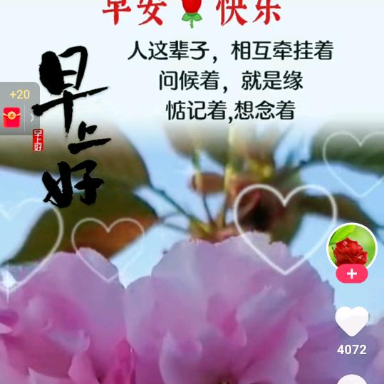 飞翔蓝天。