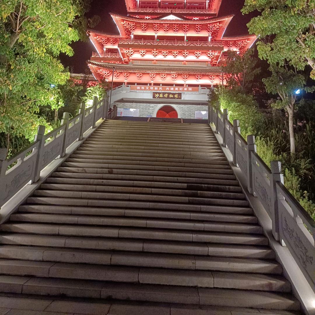 鸽子