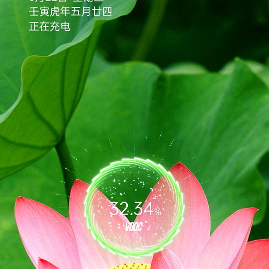啊凤