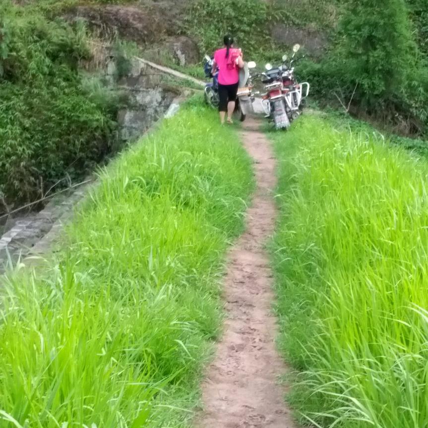 珍惜分分秒秒