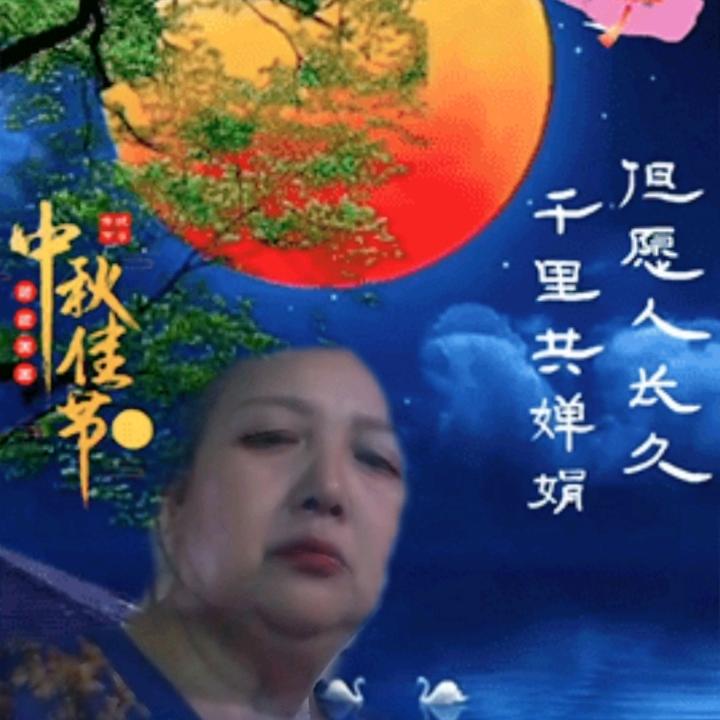 王小凤