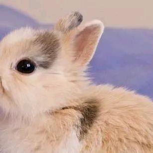 成功的路上不拥挤