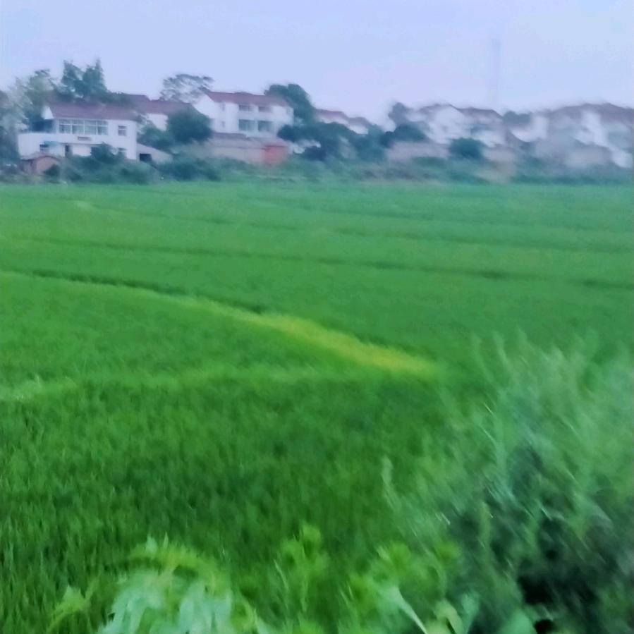 用户59890559556