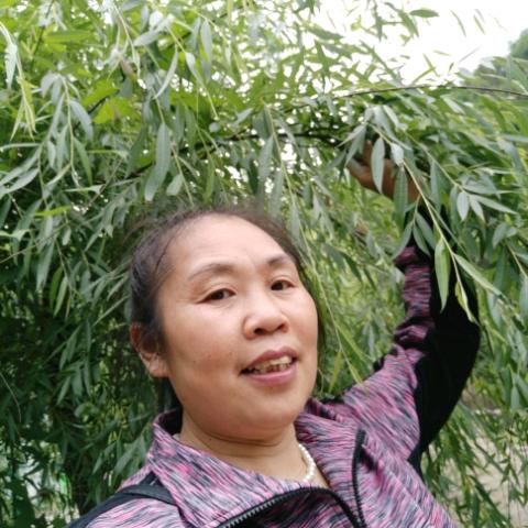 快乐黄姐