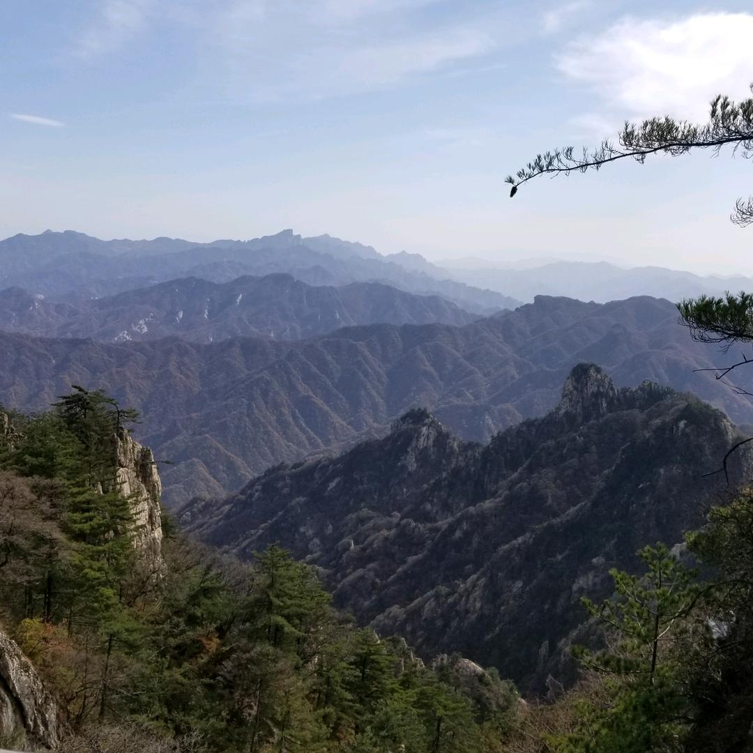福润
