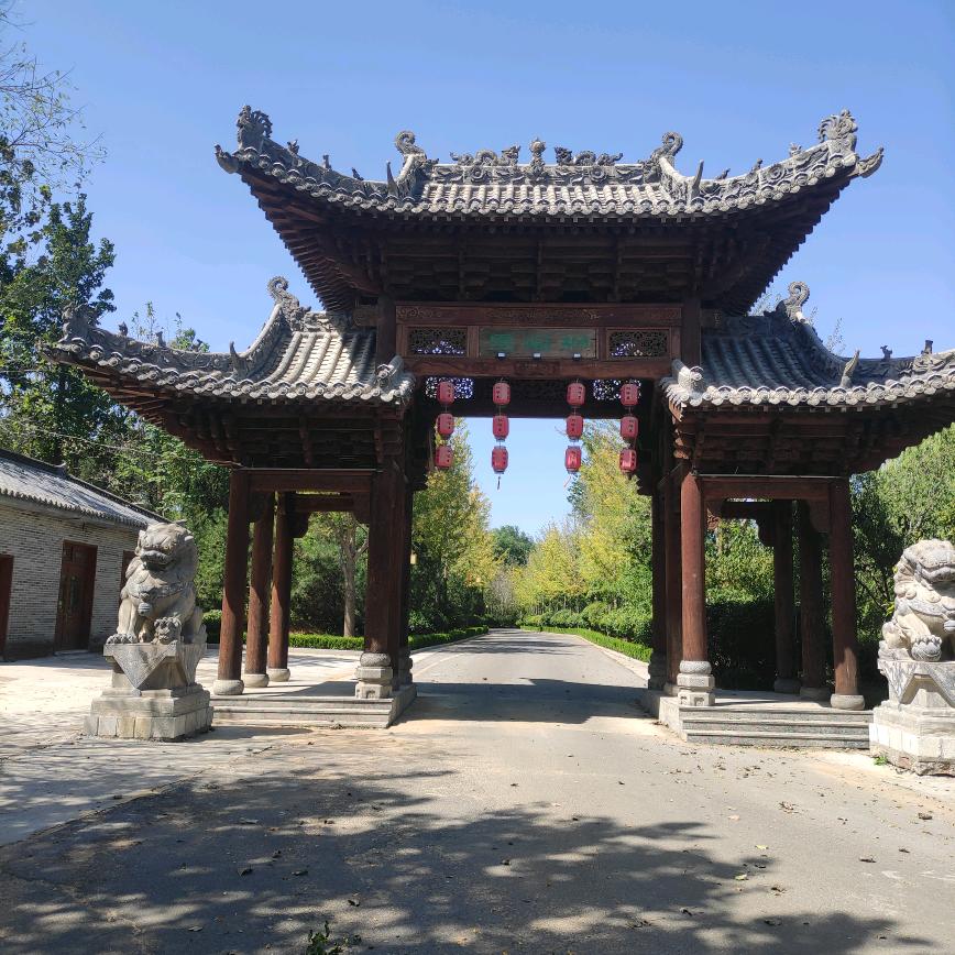 多多米米