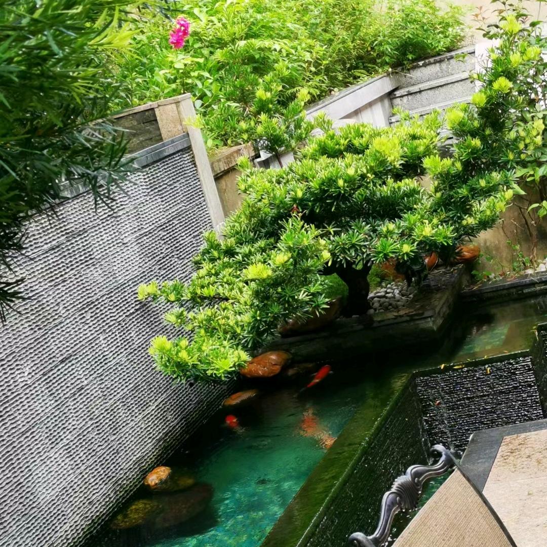 三帝鞋材油墨