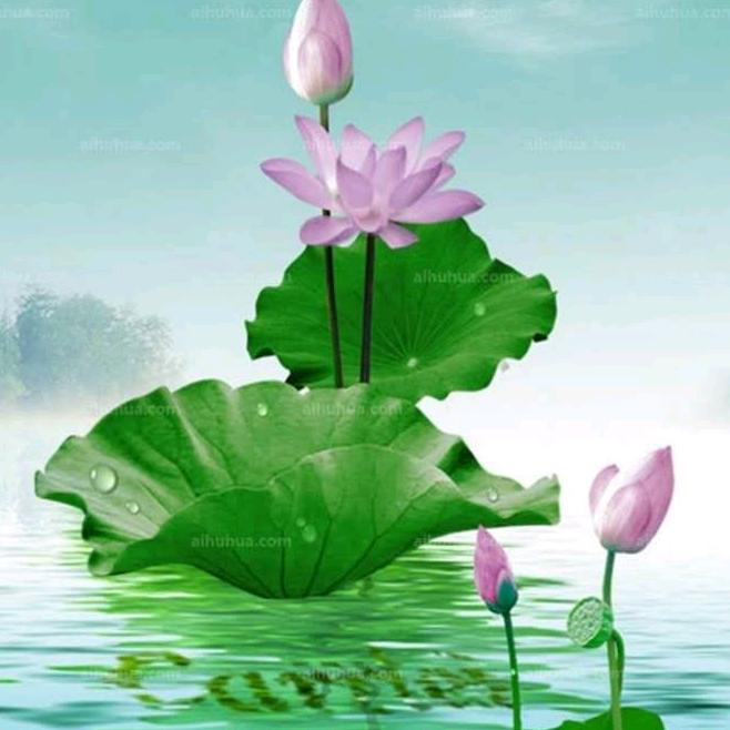 听风听雨