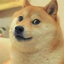 司机