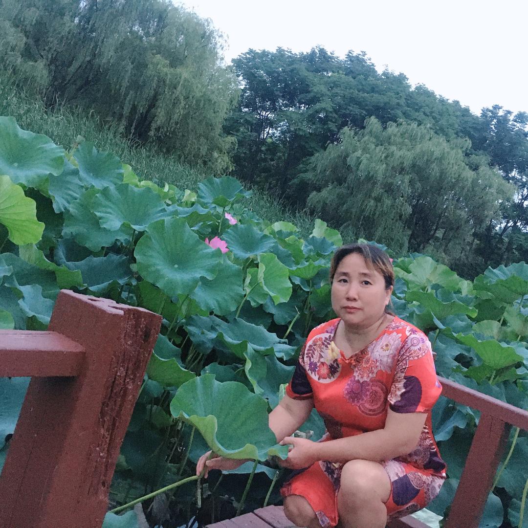 我是66奶奶