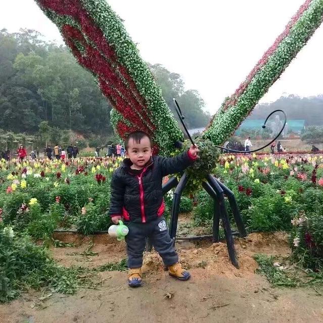 潮汕阿葵7