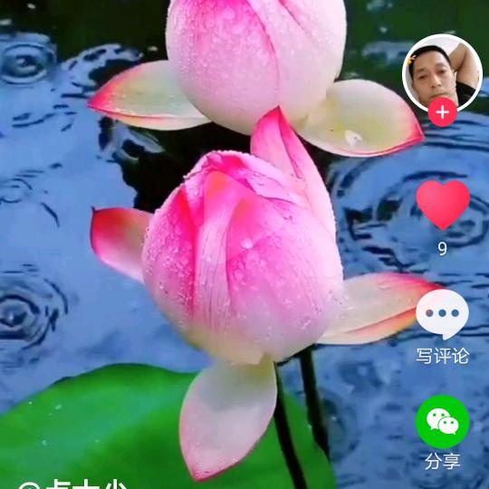 好物推荐官